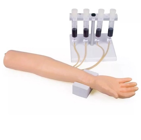 Mô hình tiêm tĩnh mạch cánh tay Erler Zimmer 7010 giá tốt chính hãng
