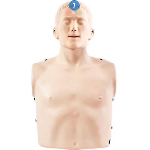 MÔ HÌNH HUẤN LUYỆN CPR HÀN QUỐC (CÓ LOA PHẢN HỒI TIẾNG VIỆT)