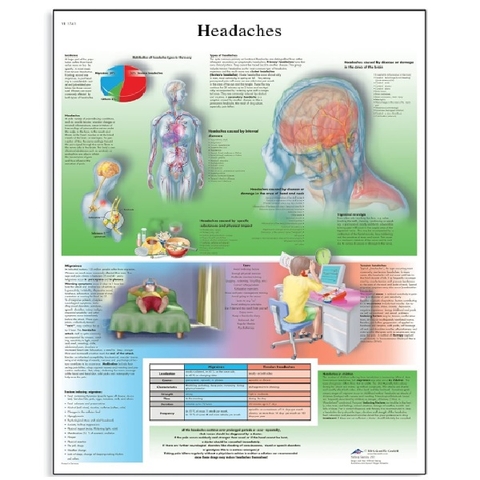 TRANH GIẢI PHẪU BỆNH ĐAU ĐẦU VR1714L