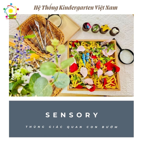 🌏 KHÁM PHÁ THẾ GIỚI KỲ DIỆU 🌏