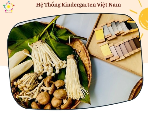 Dự án “ Nấm 