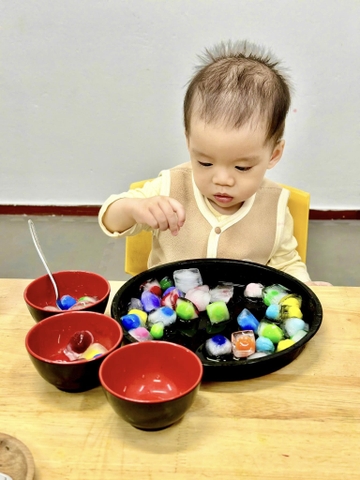 SENSORY – PHÂN LOẠI ĐÁ MÀU