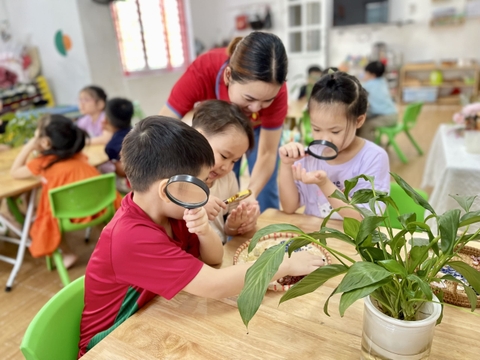 Mở dự án: 