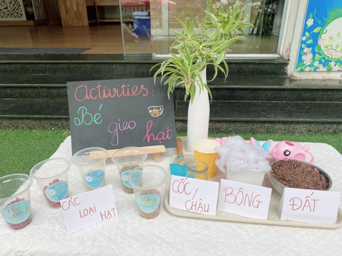 🌱 GIEO MẦM XANH - ƯƠM ƯỚC MƠ☘️
