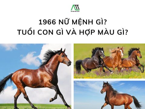 1966 nữ mệnh gì? Tuổi con gì và hợp màu gì?