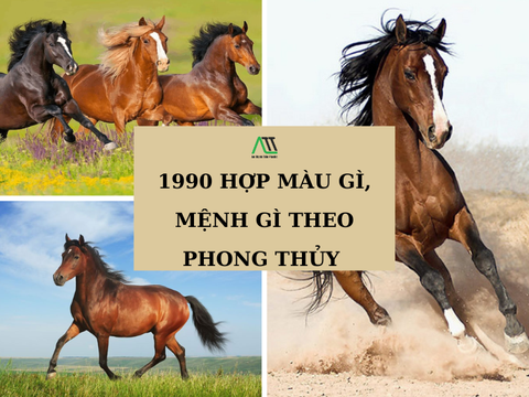 1990 hợp màu gì, mệnh gì theo phong thủy