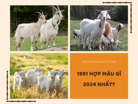 1991 hợp màu gì 2024 nhất?