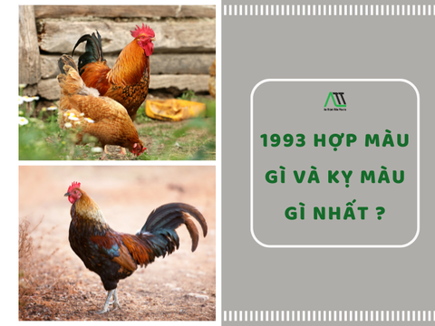 1993 hợp màu gì và kỵ màu gì nhất ?