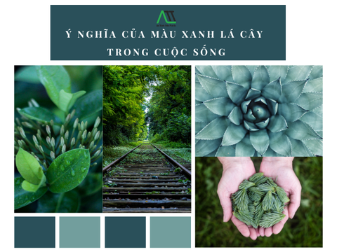 Ý nghĩa của màu xanh lá cây trong cuộc sống