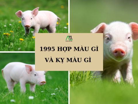 1995 hợp màu gì và kỵ màu gì?