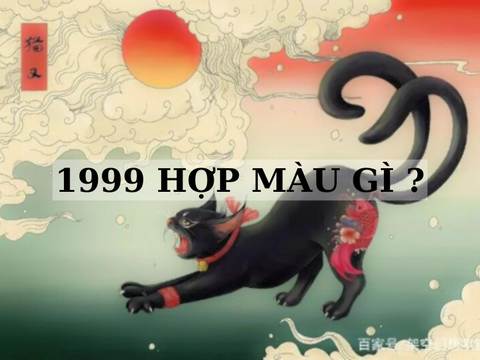Tuổi Kỷ Mão 1999 Hợp Màu Gì Và Kỵ Màu Gì Năm 2024
