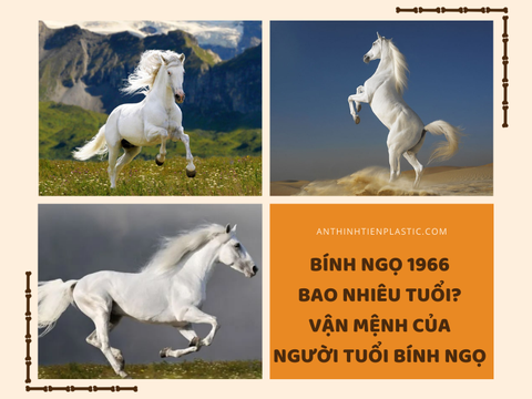 Bính Ngọ 1966 bao nhiêu tuổi? Vận mệnh của người tuổi Bính Ngọ?