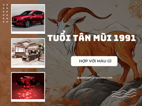 Tuổi Tân Mùi 1991 hợp màu gì? Gợi ý chọn màu nội thất đẹp