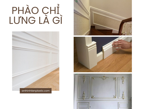 Phào chỉ lưng là gì? Phân loại, ứng dụng và giá bán