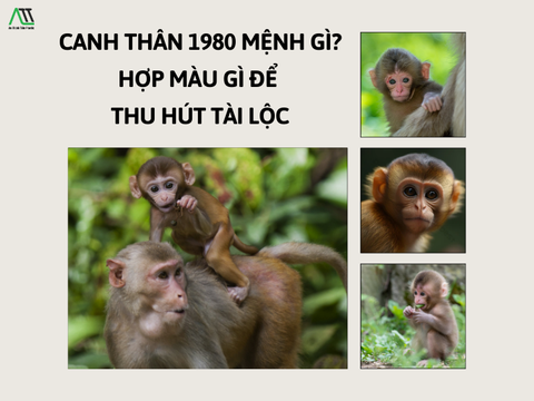 Canh Thân 1980 mệnh gì? Hợp màu gì để thu hút tài lộc