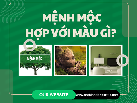 Người mệnh Mộc hợp với màu gì để TÀI LỘC phơi phới!