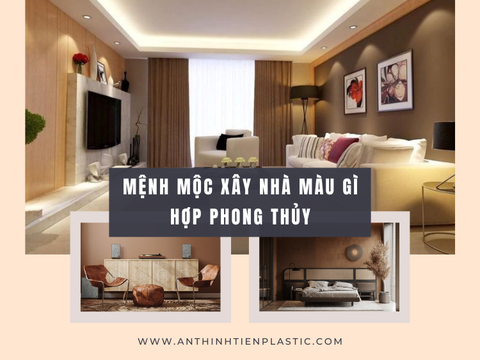 Mệnh mộc xây nhà màu gì hợp phong thủy