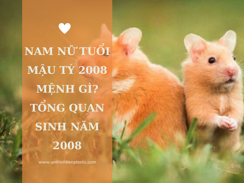 Nam nữ tuổi Mậu Tý 2008 mệnh gì? Tổng quan sinh năm 2008