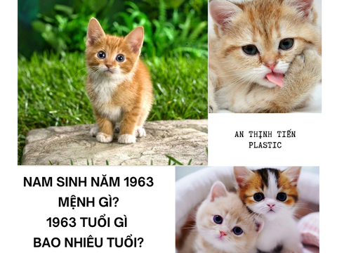 Nam sinh năm 1963 mệnh gì? 1963 tuổi gì bao nhiêu tuổi?