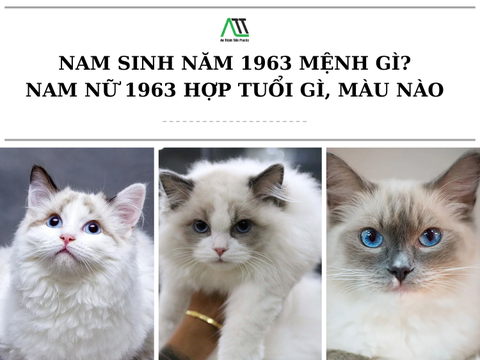 Nam sinh năm 1963 mệnh gì? Nam nữ 1963 hợp tuổi gì, màu nào?