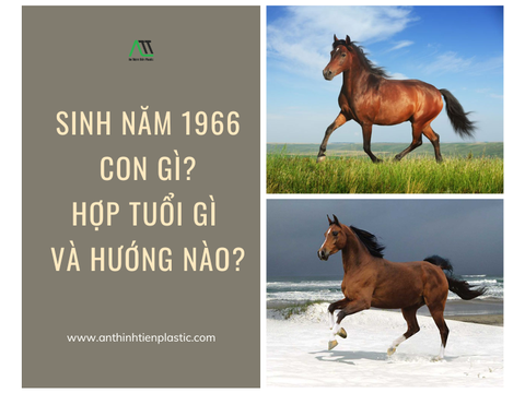 Sinh năm 1966 con gì? Hợp tuổi gì và hướng nào?