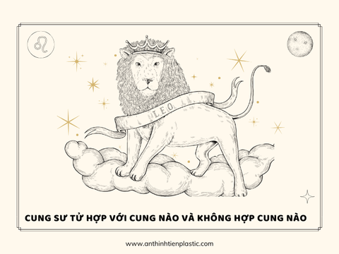 Cung sư tử hợp với cung nào và không hợp cung nào?