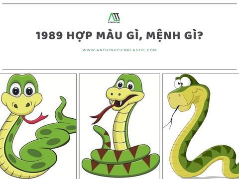 1989 hợp màu gì, mệnh gì?