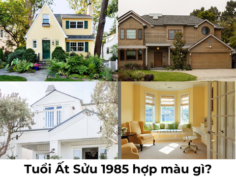 Tuổi Ất Sửu 1985 hợp màu gì 2024? Màu nội thất hợp cho tuổi 1985