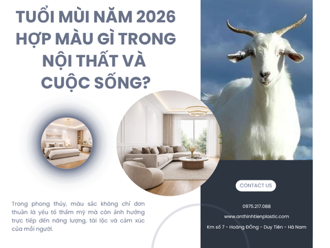 Tuổi Mùi năm 2026 hợp màu gì trong nội thất và cuộc sống?