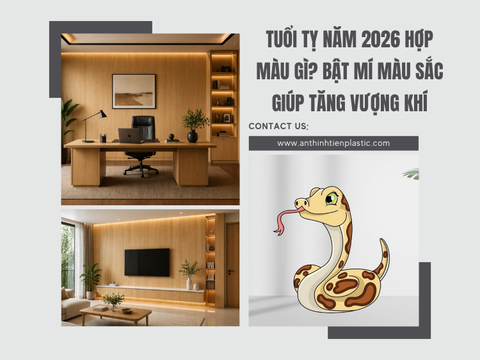 Tuổi Tỵ năm 2026 hợp màu gì? Bật mí màu sắc giúp tăng vượng khí