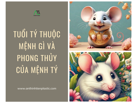 Tuổi Tý thuộc mệnh gì và phong thủy của tuổi Tý