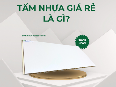 Tấm nhựa giá rẻ là gì? 30+ Mẫu tấm HOT nhất hiện nay