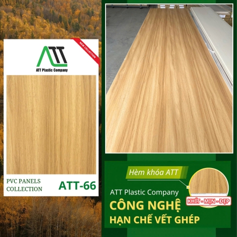 att 66