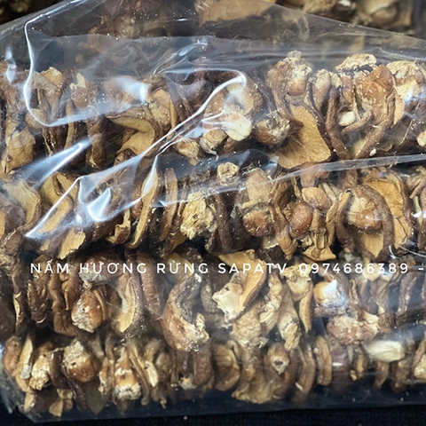 Nấm Hương Rừng Sapa 500g / Túi