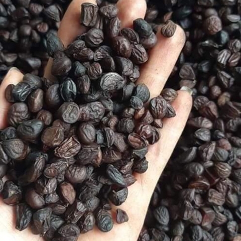 Dịch vụ vận chuyển hạt dổi Tây Bắc đi Mỹ nhanh chóng, uy tín Dịch vụ vận chuyển hạt dổi Tây Bắc đi Mỹ nhanh chóng, uy tín