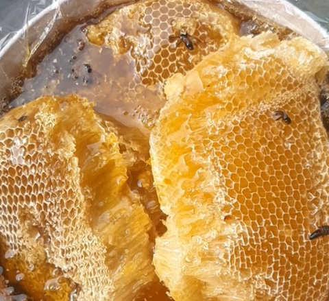 Mật Ong Khoái Rừng Nguyên Sáp Hộp 5 Kg