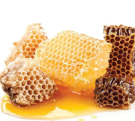 Mật Ong Khoái Rừng Nguyên Sáp Hộp 5 Kg