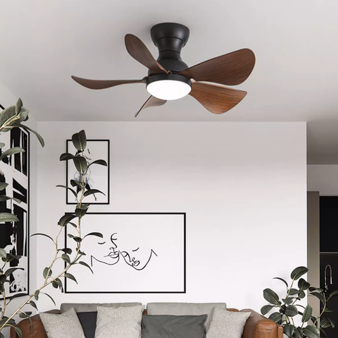 Quạt Trần Sải Cánh Ngắn QT242