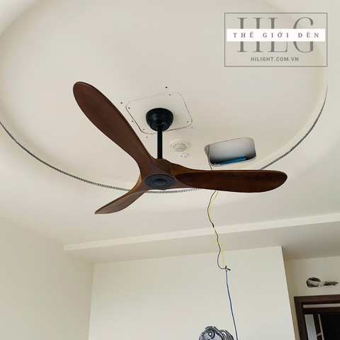 Quạt Trần 3 Cánh Gỗ Tự Nhiên QT202