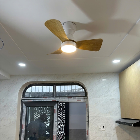 Quạt Trần Cánh Ngắn QT273