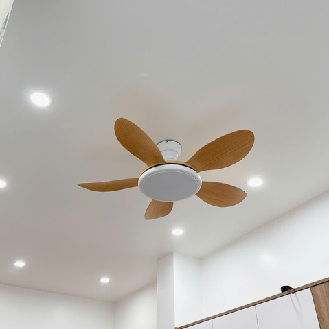 Quạt Trần Cánh Ngắn Thân Ngắn QT284
