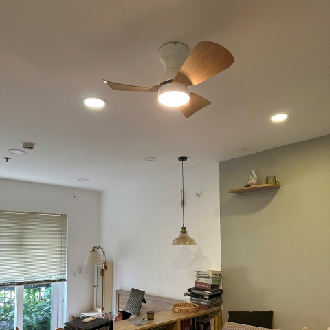 Quạt Trần Cánh Ngắn QT273