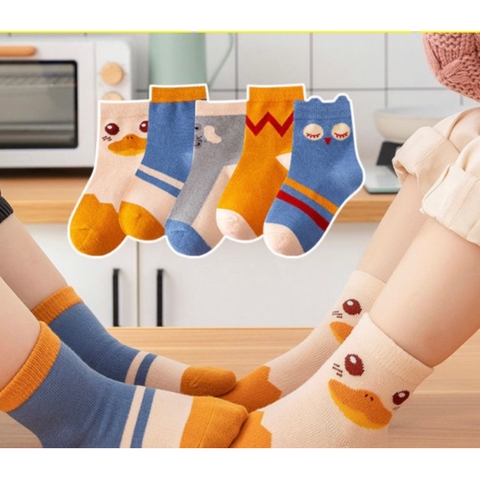 SET 5 ĐÔI TẤT XUẤT HÀN CHO BÉ TRAI/BÉ GÁI