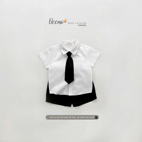 SET SƠ MI BEEMO TẶNG CAVAT