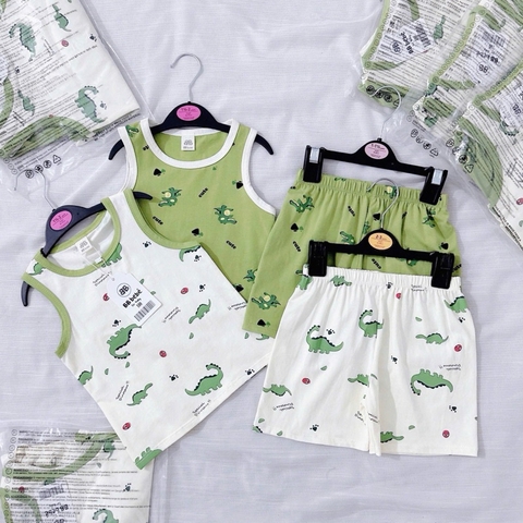 SET 2 BỘ BA LỖ KHỦNG LONG XANH TRẮNG