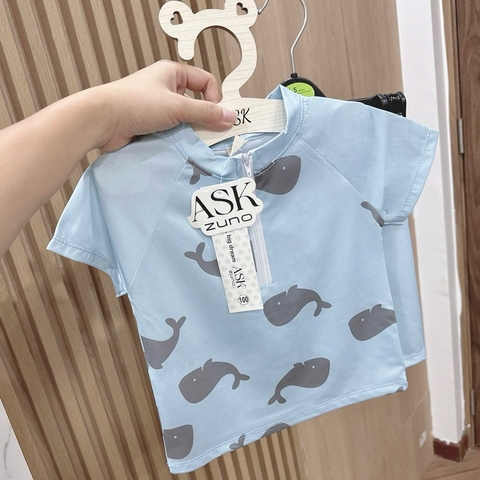 BỘ BƠI CÁ HEO XANH