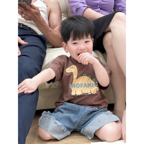 SET 3 ÁO CỘC TAY KHỦNG LONG NÂU XANH TRẮNG