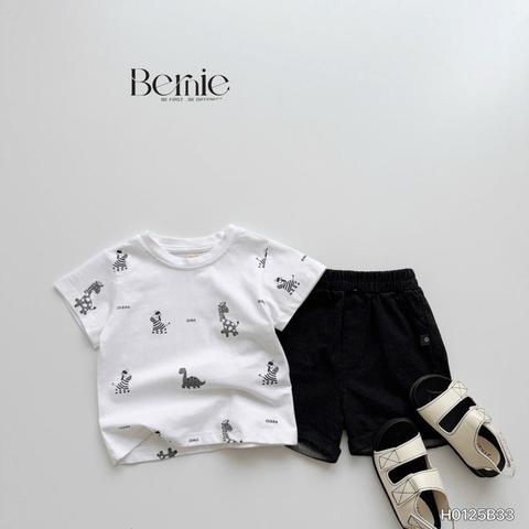 BỘ CỘC TAY IN TRÀN ZEBRA