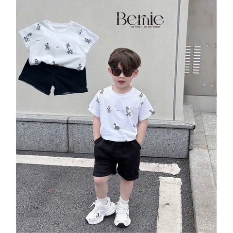 BỘ CỘC TAY IN TRÀN ZEBRA