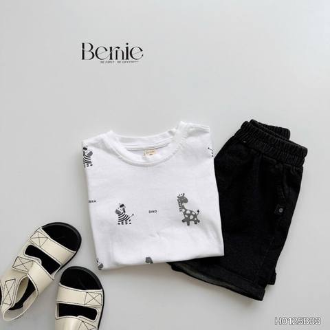 BỘ CỘC TAY IN TRÀN ZEBRA